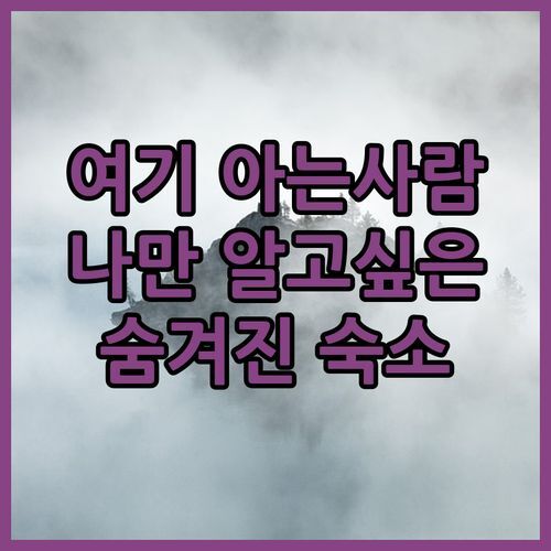 🤫 아는 사람만 안다는 츠바비아니 Maia’s Guesthouse! 나만 알고 싶은 숨겨진 숙소 공개! 🏡