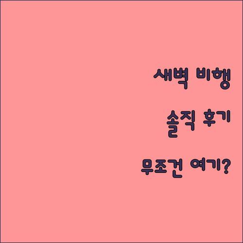 트래블로지 호텔 시드니 에어포트 솔직 후기 새벽 비행 전 무조건 여기?