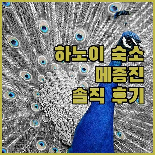 MaisonJin 레지던스! 하노이 여행 필수 숙소? ✨ 직접 경험해보니..