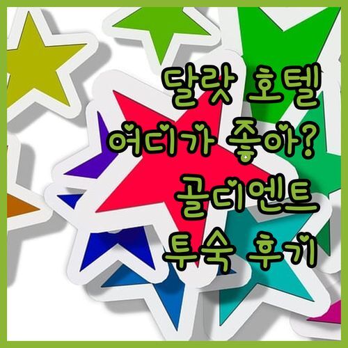 달랏 호텔 어디가 좋을까? 🤔 골디엔트 부티크 호텔 더블룸 실제 투숙 후기! 조식, 수영장, 룸 컨디션까지 꼼꼼 비교!