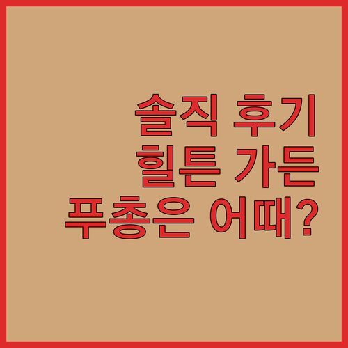 푸총 힐튼 가든 인, 진짜 괜찮을까? 투숙객 리얼 후기 전격 공개!