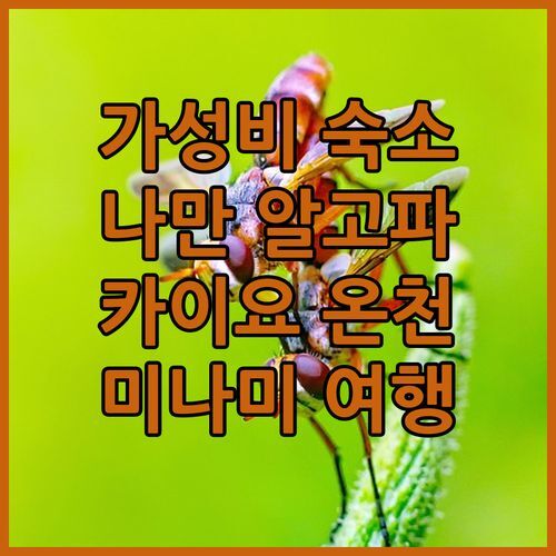 후레아이노야도 유유 나사, 카이요 온천 여행! 미나미 가성비 숙소, 나만 알고 싶은 곳!