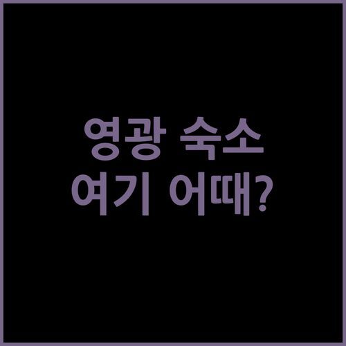 영광 여행 숙소 추천! 굴비 맛집 근처 깨끗하고 편안한 호텔 여기 어때? 하운드, 더 스타, 707 전격 비교!