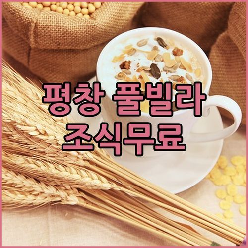 평창 펜트하우스풀빌라 개별 수영장 & 조식 무료! 잊지 못할 럭셔리 여행!