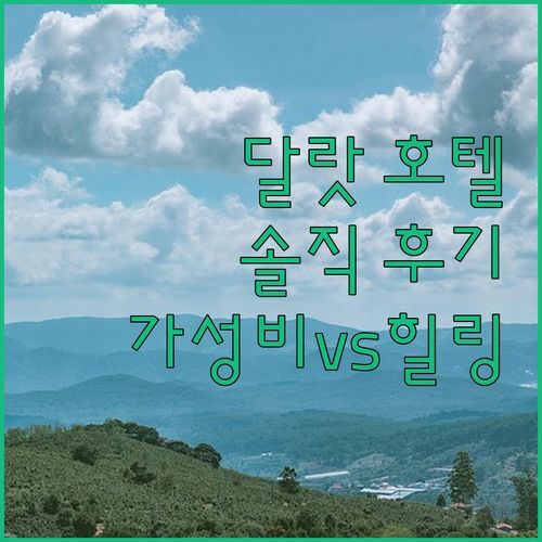 달랏 Csltdl Quynh Nhi 호텔! 20대 여행객 솔직 후기, 가성비 vs 힐링? 🤔