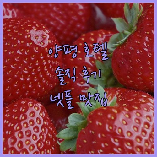 양평 프리미엄 호텔 라떼☕, 넷플릭스 & 조식 맛집?! 솔직 후기로 확인하세요!💯