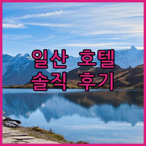 일산 발렌타인 호텔 실제 투숙객 후기! 솔직히 어땠어요?🤔 가성비 vs 청결, 당신의 선택은?