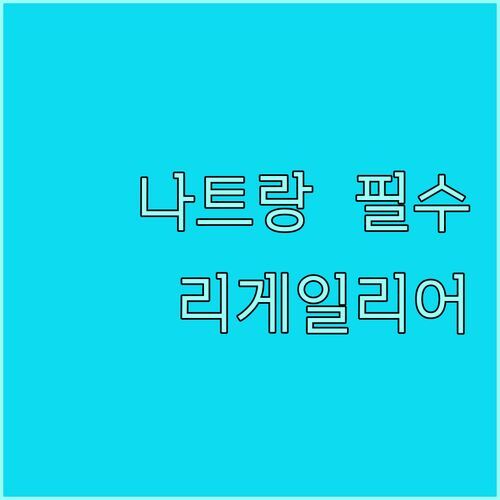 리게일리어 골드 호텔, 나트랑 여행 필수 코스?! 숙박객 리얼 후기 & 주변 맛집 완벽 정리👍