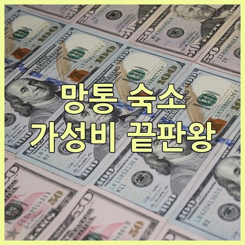 망통 Hotel Lemon 숙박! 역대급 가성비 숙소, 솔직 후기 지금 바로 공개합니다🤫
