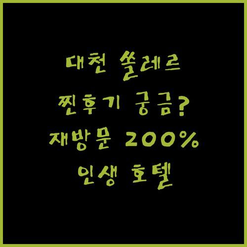 대천 호텔 쏠레르, 재방문율 200%! 찐후기가 궁금해?