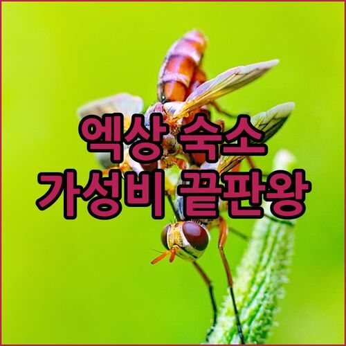 엑상프로방스 가성비 숙소는 여기! The Originals Residence Aix Schuman 파헤치기
