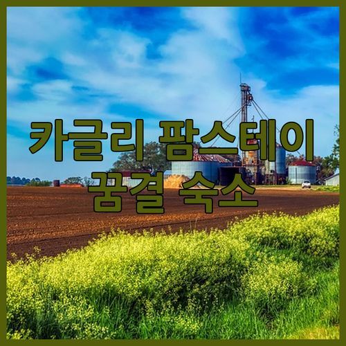 카글리 팜스테이🏡 Agriturismo poggio delle favole! 꿈결 같은 숙소, 지금 바로 떠나자!