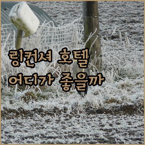 링컨셔 보스턴 호텔, 어디가 좋을까❓ 화이트 하트 호텔 vs 더 스탠리 호텔, 숙박 고민 해결!