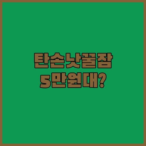 하노이 호텔 탄손낫 에어포트 찐후기😎 5만원대로 누리는 꿀잠✨ 공항 픽업부터 조식까지 완벽해?