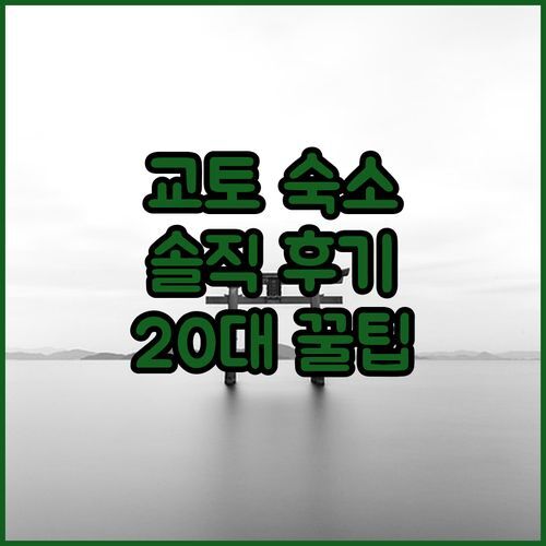 교토 레지 스테이 하치 인! 실제 투숙객 후기가 궁금하세요? 20대가 알려주는 꿀팁!