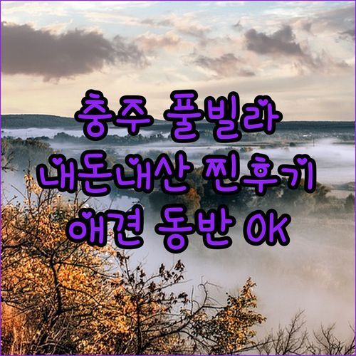 내돈내산 충주 풀빌라 찐후기! 애견 동반부터 럭셔리 뷰까지, 후회없는 선택은?