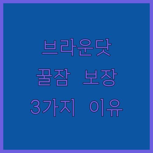 사이공 공항 근처 호텔, 브라운닷 vs 다른 곳? 꿀잠 보장 3가지 이유!