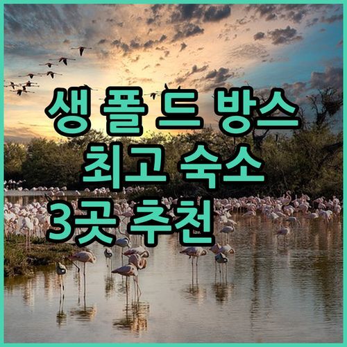 생 폴 드 방스 숙소 여기가 최고! 🇫🇷 숨겨진 보석 같은 숙소 3곳 추천