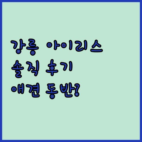 강릉 아이리스 풀빌라 스파 펜션, 실제 방문객 후기 대방출! 애견 동반, 스파, 뷰까지 완벽할까?