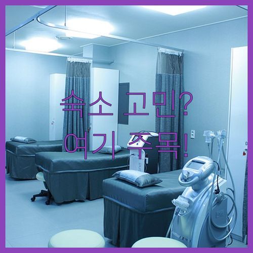 울릉도 여행 숙소 어디가 좋을까 썸앤썸 vs 위드Ulleung vs 다온프라임 솔직 비교