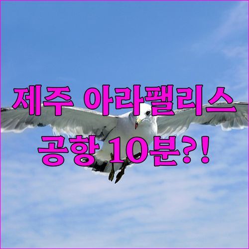제주 아라팰리스, 공항 10분 거리 실화?! 리얼 후기 대방출!