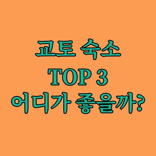인싸 여행객 필독! 교토 숙소 TOP 3 비교분석 마치야 빌라, 힐튼, 사쿠라 테라스, 나에게 딱 맞는 곳은 🤔?