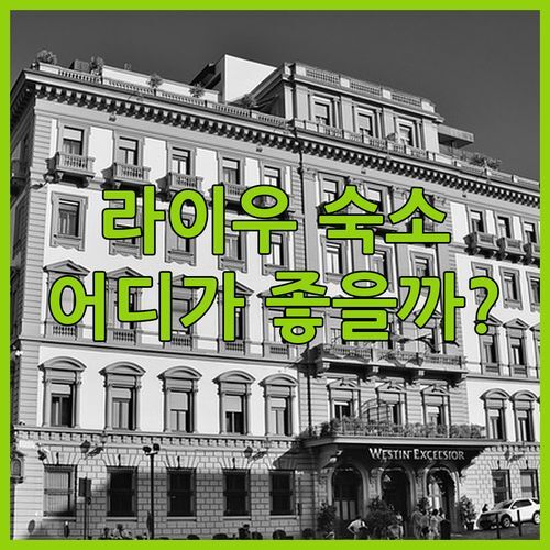 라이우 숙소 고민 끝! 비엔나 호텔 vs 그린트리 인 어디가 좋을까? 솔직 비교 후기!