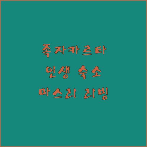 마스리 리빙 바이 다프나 매니지먼트, 족자카르타 여행객 필수 숙소?! ✨