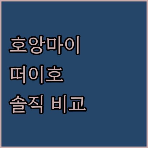 솔직 비교 하노이 호앙마이 vs 떠이호 숙소 어디가 좋을까 BOM HOMES vs iRest Orange