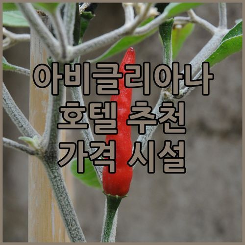 아비글리아나 호텔 어디가 좋을까? 그린 호텔 닌파, Casa Conte Rosso, Certosa 1515 가격 시설 비교분석!