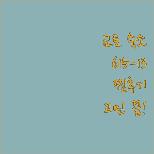 교토 여행 숙소 고민 끝! ‘615-13 Higashiboricho’ 실제 투숙객 생생 후기!