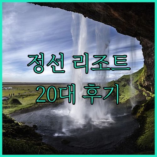 파인 포레스트 정선 알파인 리조트, 왜 베스트셀러일까? 20대 리얼 후기 대방출!