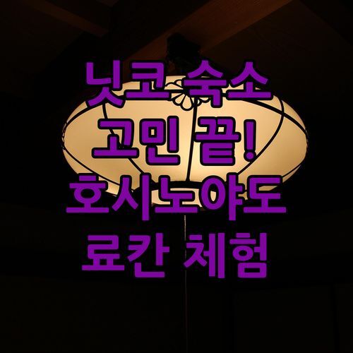 닛코 숙소 고민 끝! 닉코 호시노야도에서 만끽하는 일본 전통 료칸 체험!