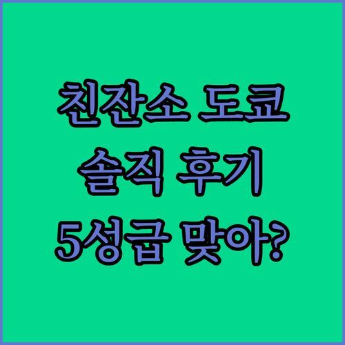 친잔소 도쿄, 진짜 5성급 맞아? 내돈내산 숙박 후기!