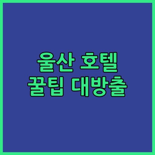 울산 시티 호텔, 숨겨진 꿀팁 대방출! 아는 사람만 누리는 완벽 호캉스!