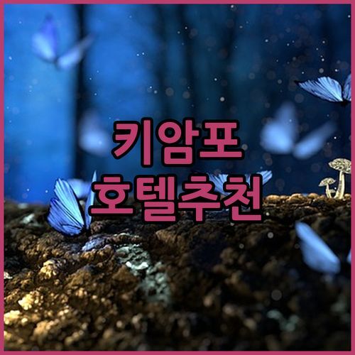 키암포 호텔 추천! 라 피에브 호텔, 4성급 럭셔리의 끝판왕? ✨