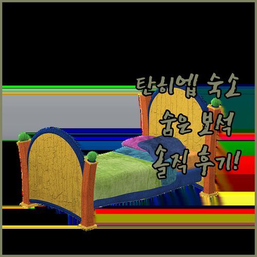 루 리 홈스테이, 탄히엡 숨은 보석💎 같은 곳! 실제 투숙객 후기 지금 바로 확인!