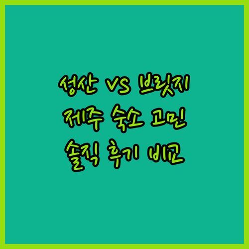 성산 마리나 호텔 vs 호텔 브릿지 서귀포! 제주 숙소 고민 종결? 솔직 후기!