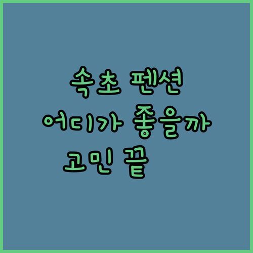 속초 펜션 고민 끝 ✨ 해뜨는집 vs 호텔더블루테라 vs 마리나베이 어디가 좋을까 🤔