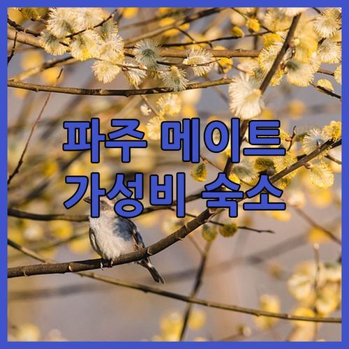 파주 메이트 호텔? 깔끔함에 반하고, 가성비에 두 번 놀라는 숙소!