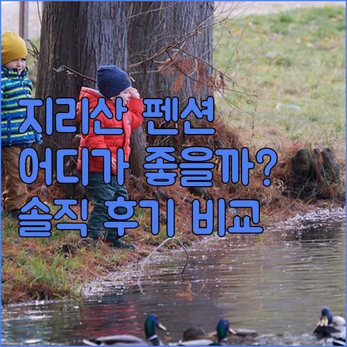지리산 펜션 고민 끝! 야생화 향기 vs 풍경 맛집, 어디가 좋을까? 솔직 후기 전격 비교!