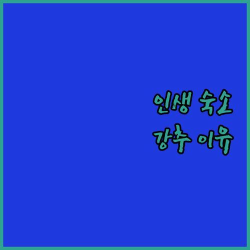 20대 쇼호스트가 추천하는 바라 드 사오 미구엘 인생 숙소! Village Barra Hotel, 왜 다들 강추하는지 알아볼까요?