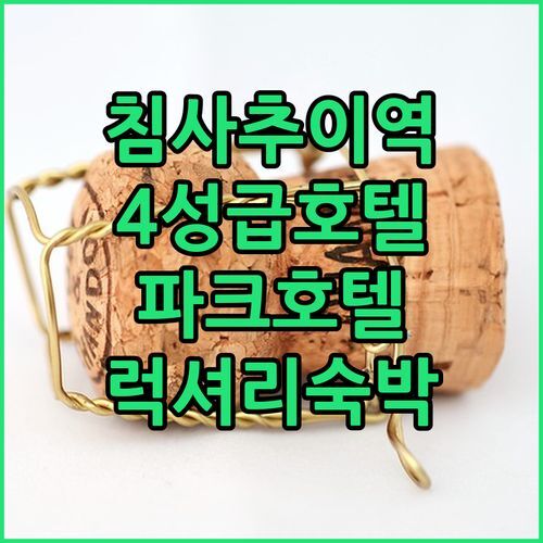 파크 호텔 홍콩, 침사추이 중심! 4성급 호텔의 럭셔리한 경험