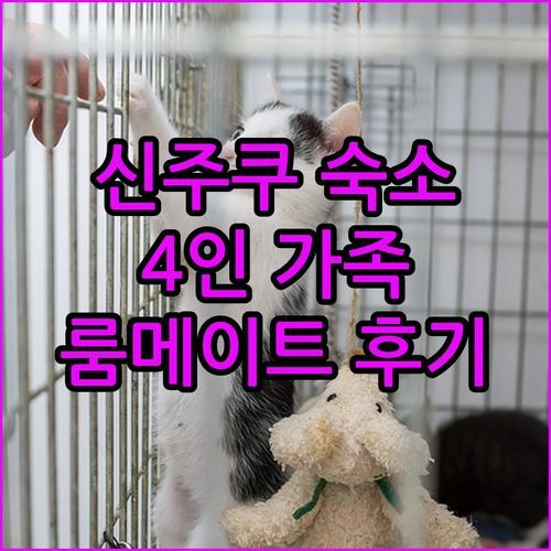 신주쿠 아파트먼트, 4인 가족 여행에 딱?! 20대 룸메이트와 숙박 후기 대방출!🤩