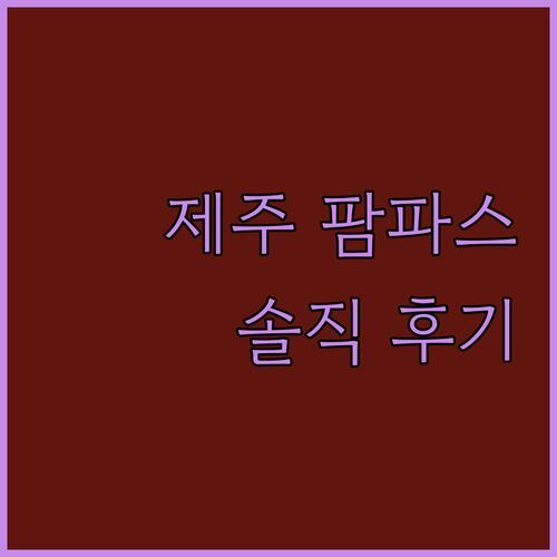 팜파스호텔 제주, 가성비 끝판왕? 솔직 후기.. 공항 접근성은 최고, BUT 비행기 소음은😱