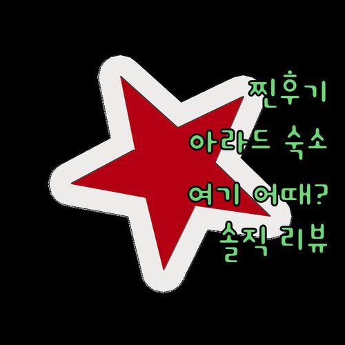 Pensiunea La Beny 실제 투숙객 후기! 아라드 여행, 여기 어때요?🤩