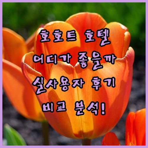 호호트 호텔, 어디가 좋을까? 실 사용자 후기 비교 분석!