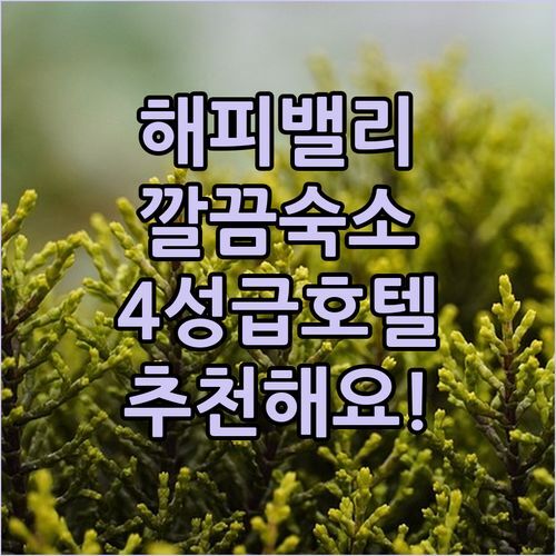 해피 밸리 숙소 추천 Royal Inn & Suites 완전 청결한 4성급 호텔!