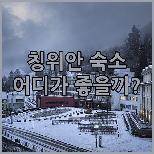 칭위안 양산 숙소 추천! 비엔나 호텔 vs 골든 메이플, 어디로 떠나볼까?
