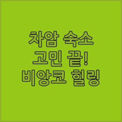 차암 숙소 고민 끝! 비앙코 하우스 리조트에서 힐링하세요